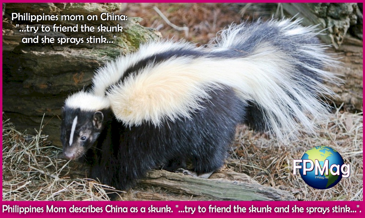 Philippines Mom describes China as a skunk. "...try to friend the skunk and she sprays stink...".