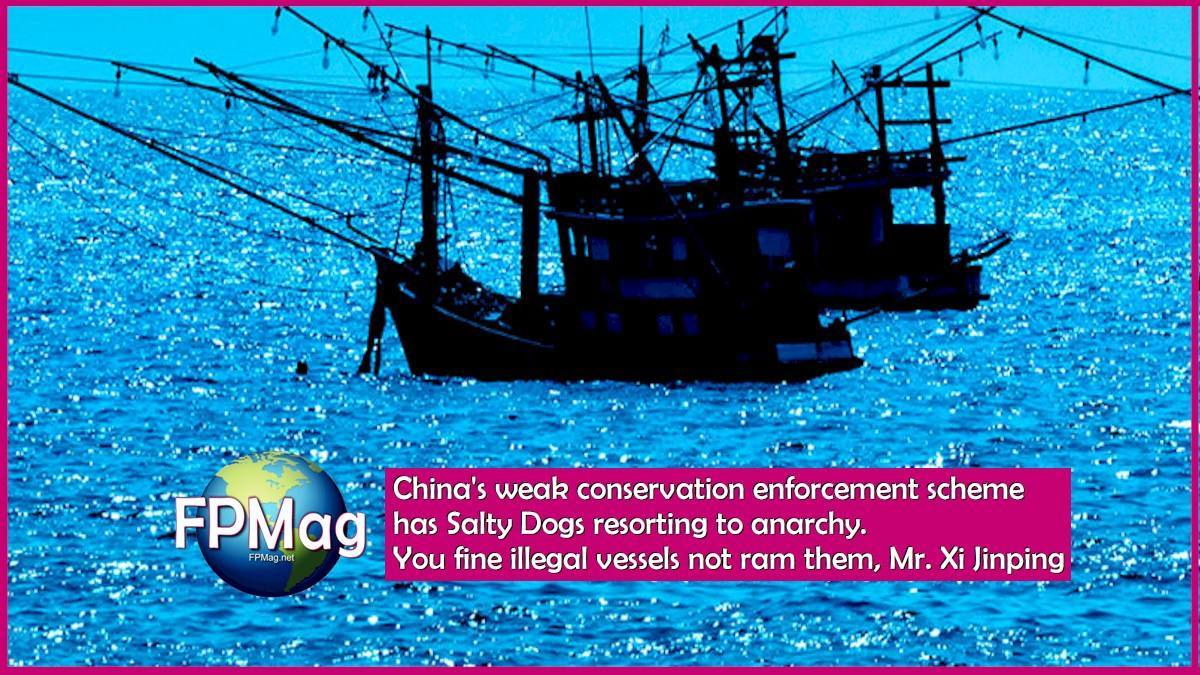 China's weak conservation enforcement scheme has Salty Dogs resorting to anarchy. You fine illegal vessels not ram them, Mr. Xi Jinping