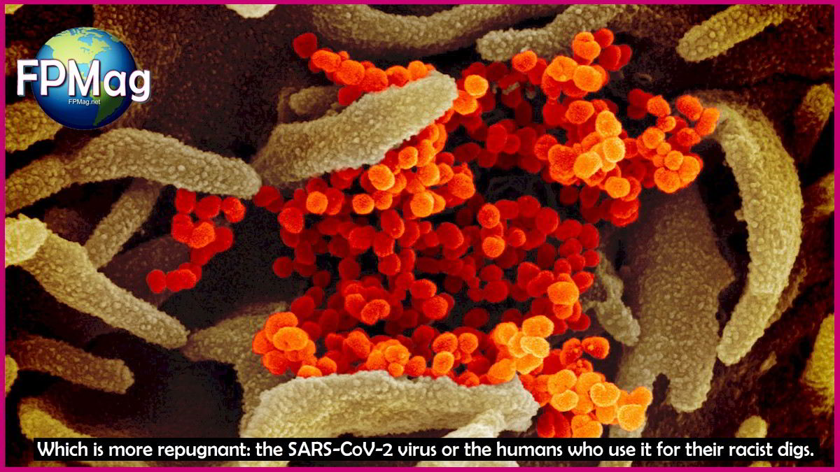 Which is more repugnant: the SARS-CoV-2 virus or the humans who use it for their racist digs.