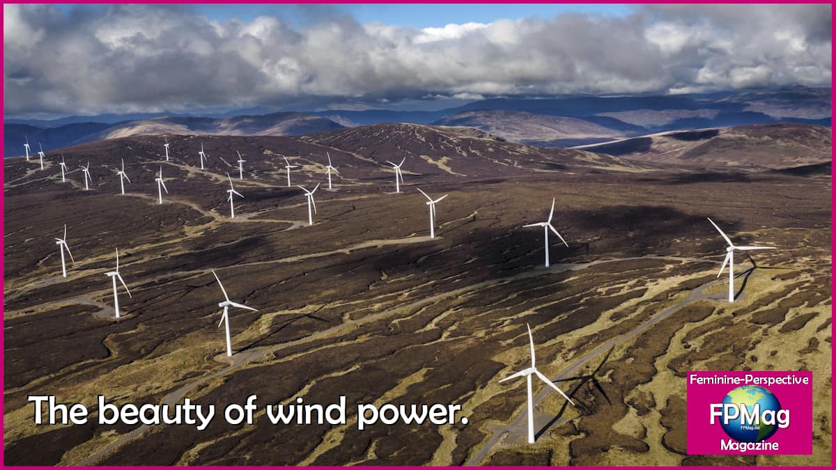 The Unmistakable beauty of wind power. 