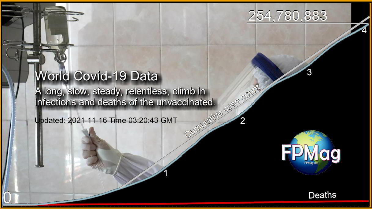 World COVID-19 Data
