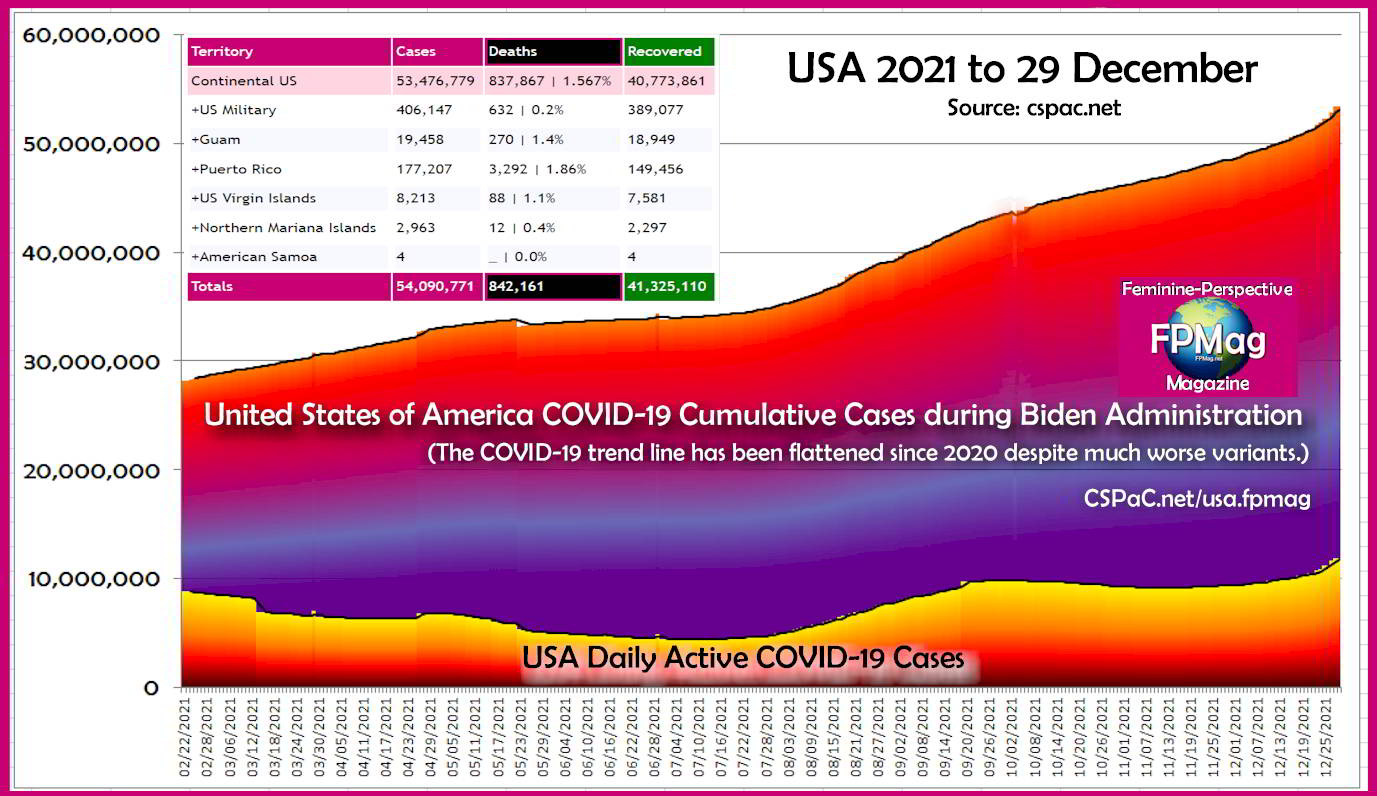 USA COVID-19 Data in 2021