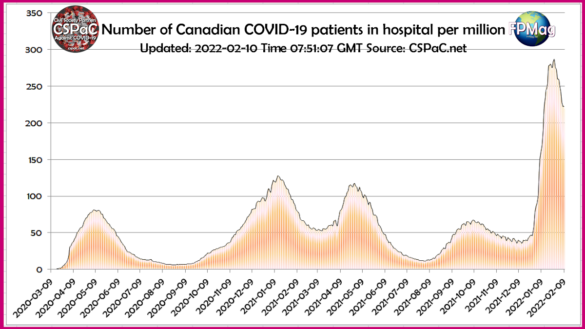  Number of COVID-19 patients in Canadian hospitals per million 