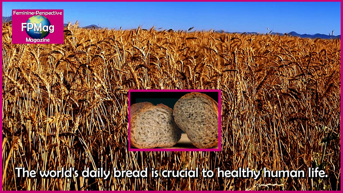 The world's daily bread is crucial to healthy human life.